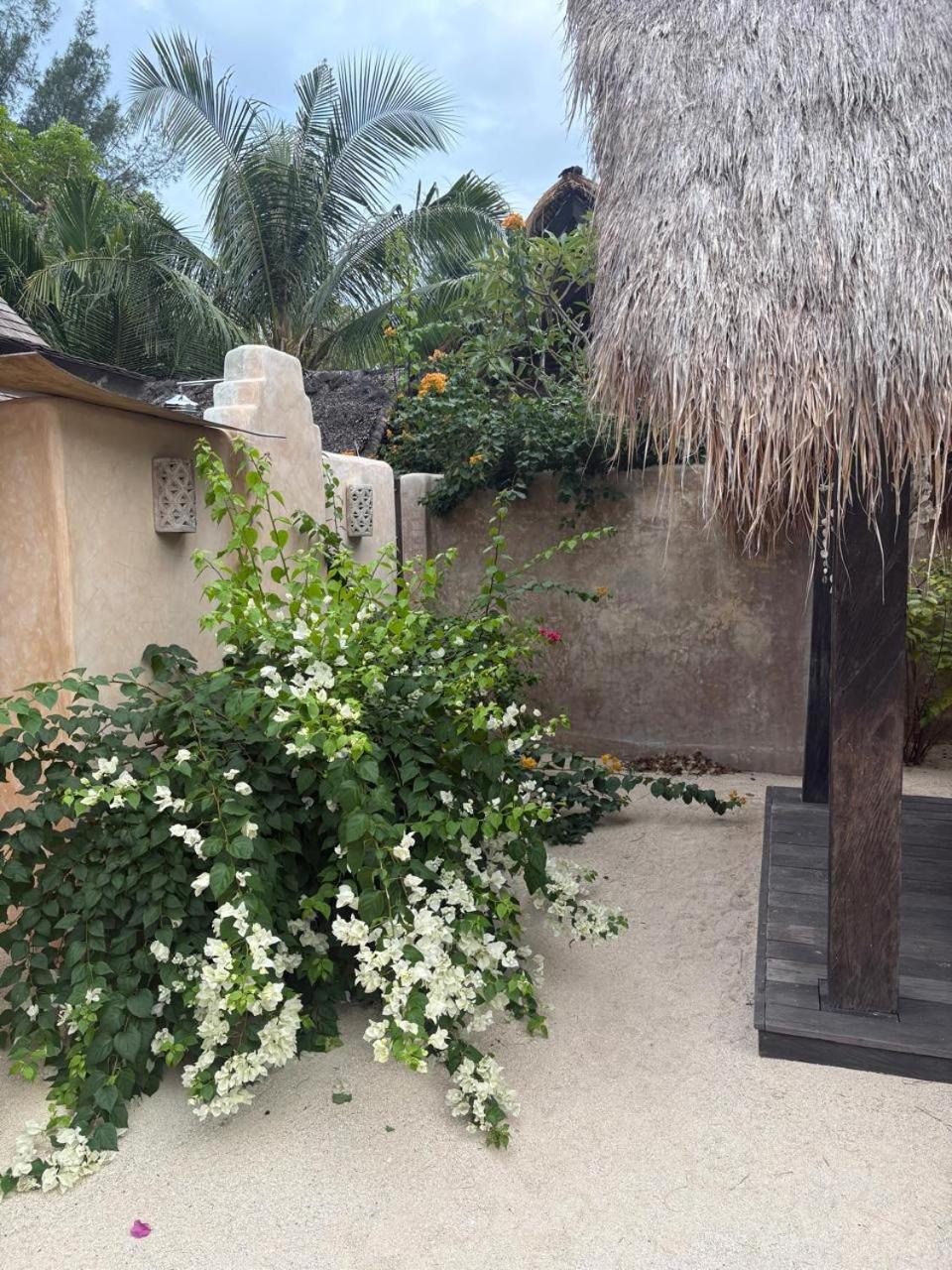 The Island Houses Gili Meno Kültér fotó